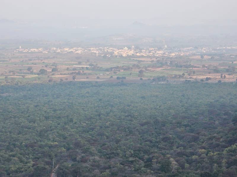 Steps way to temple - Image 1