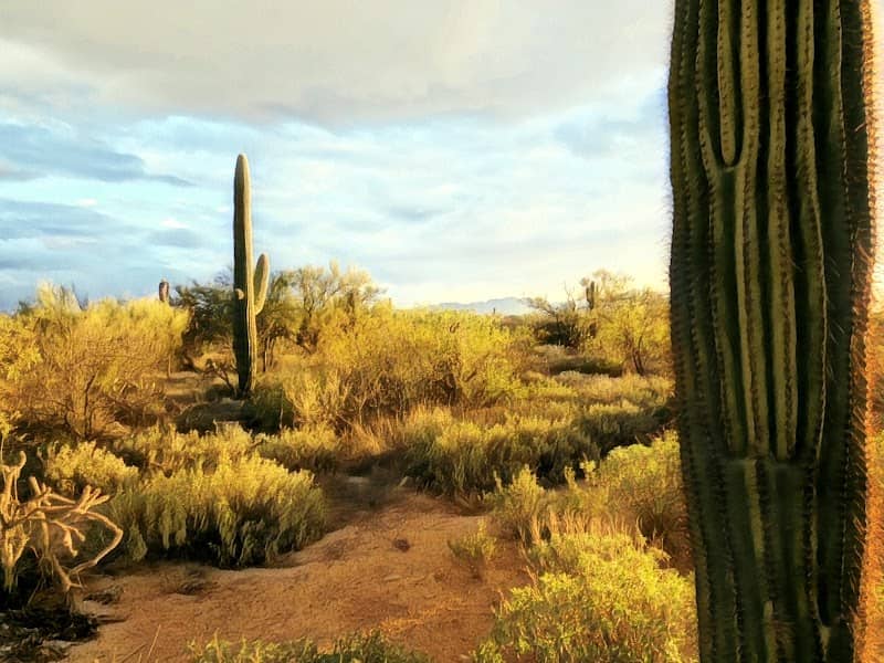 Hidden Sky Trail - Image 1