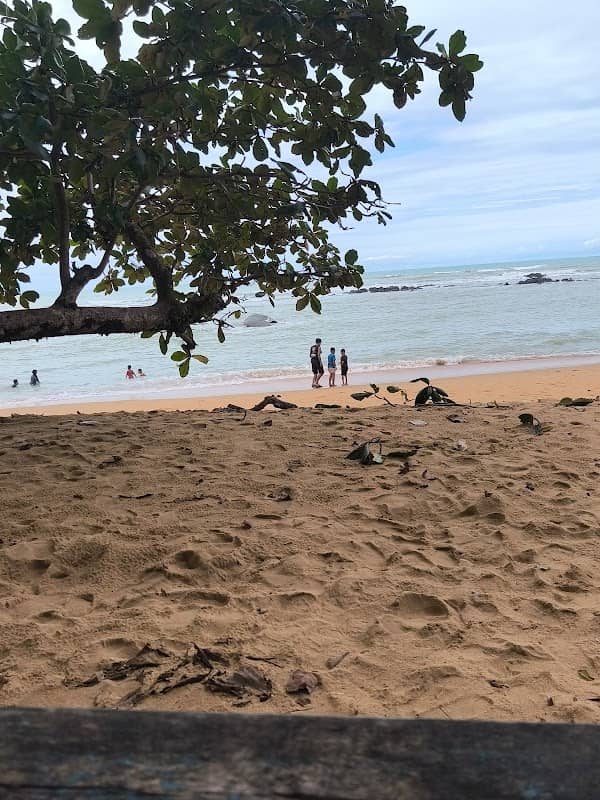 Pantai tiara - Image 1