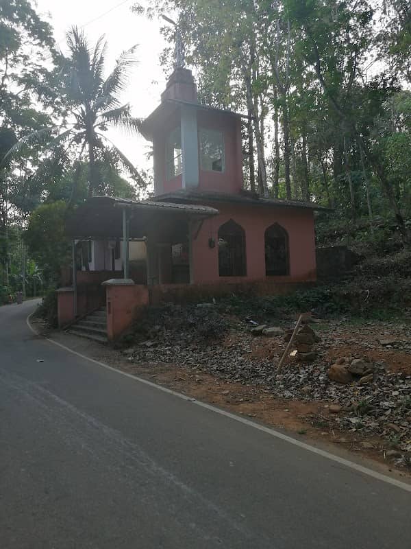 Palakadu kurisupalli road - Image 1