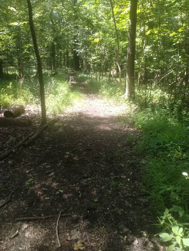 Trailhead #1 - Image 2