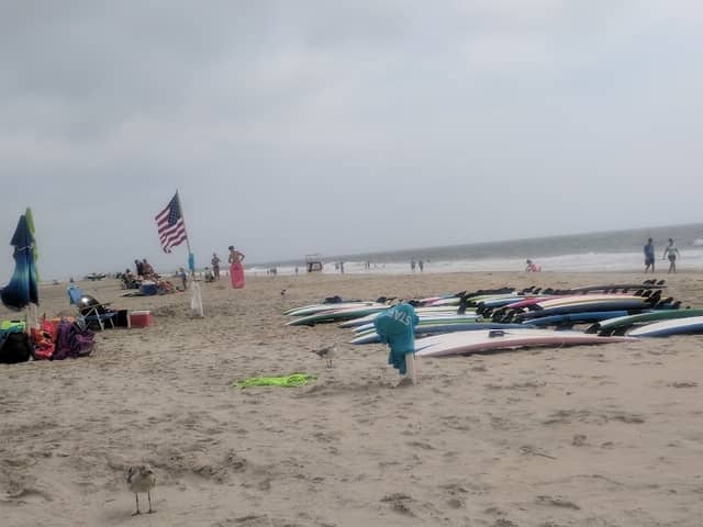 Corson's Inlet State Park - Image 1