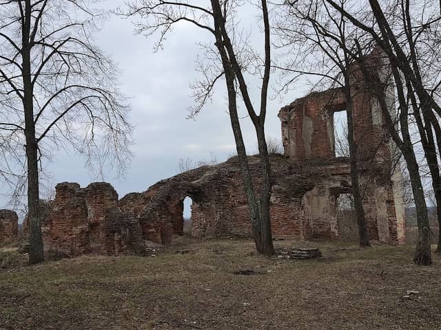 Pałac Miączyńskich w ruinie - Image 1