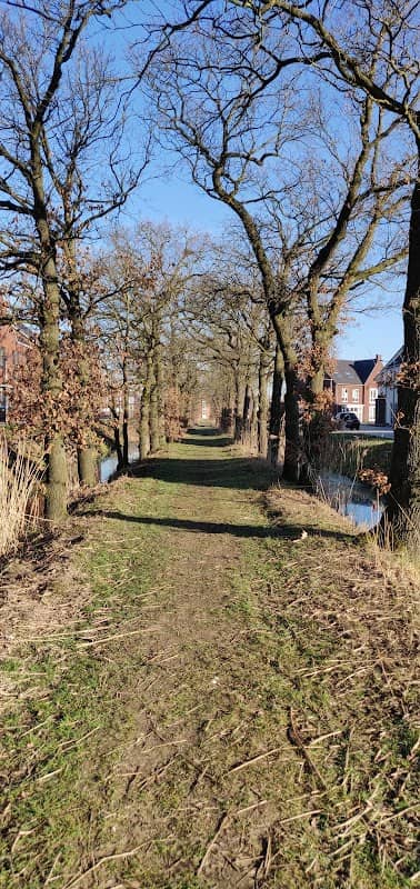 Het Eikenlaantje - Image 1