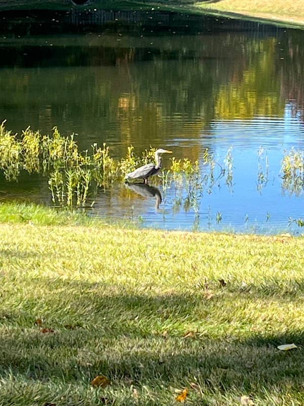 Bicentennial Trail - Image 2