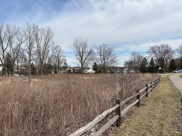 Gaslight Park - Image 1
