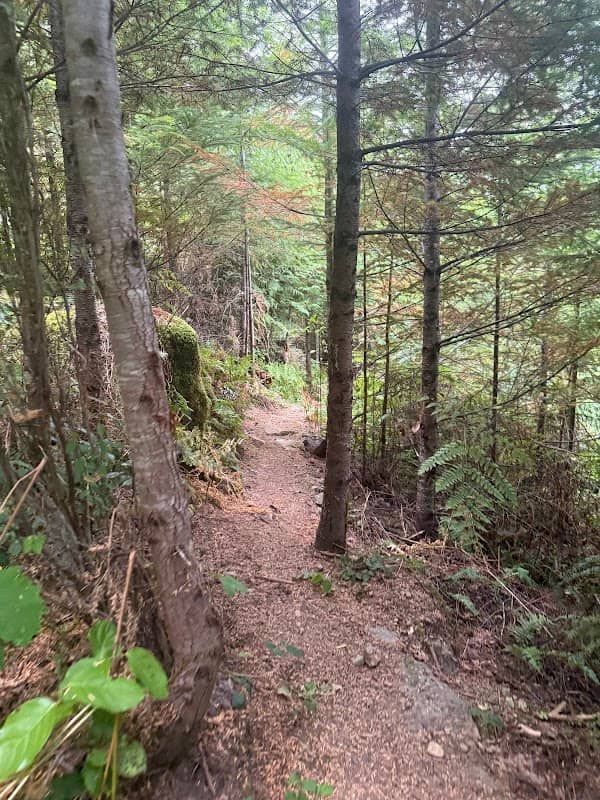 Extension Ridge Trail - Image 1