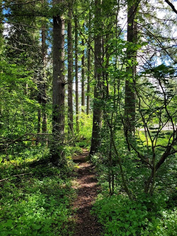 Snoqualmie Valley Rail Trail - Image 1