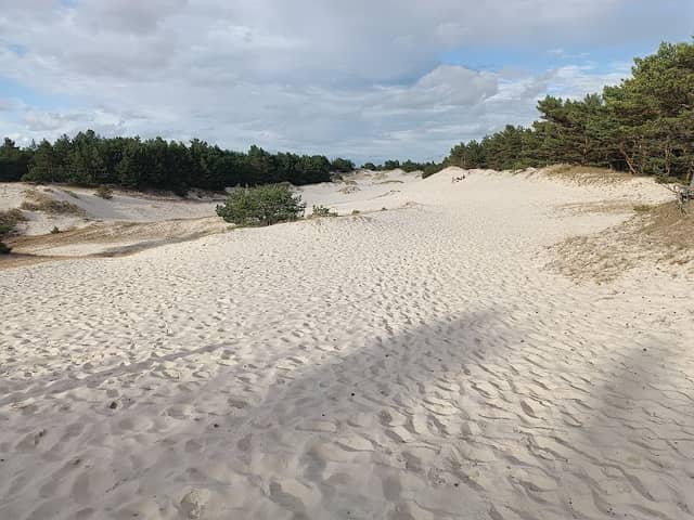 Dune Park - Image 1
