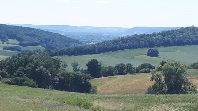 Rühler Schweiz - Image 1