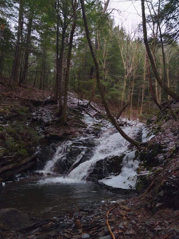 The Wolfville Watershed Nature Preserve - Image 1