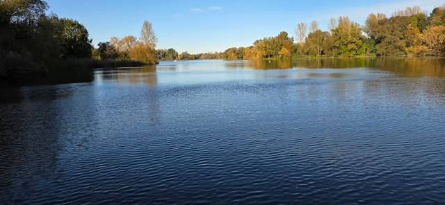Sonnenplatz im hohen Gras - Image 1