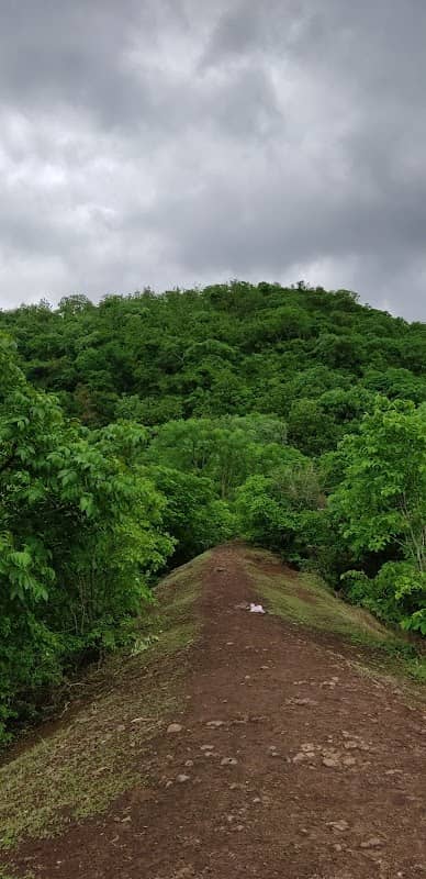 Golden Ridge view point - Image 1