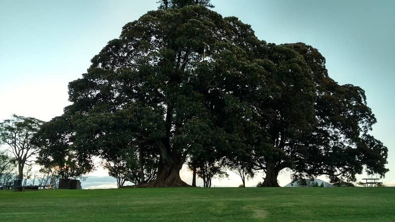 Strontian Park - Image 2