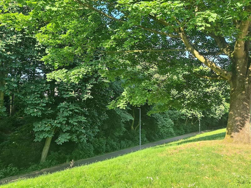 The lea Brook valley - Image 2
