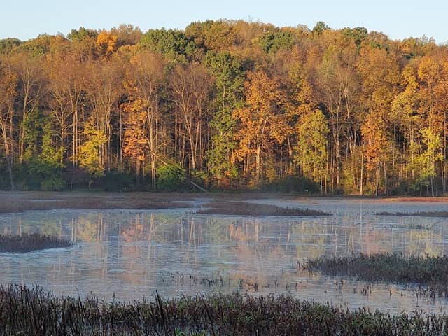 Waterfowl Observation Deck - Image 1
