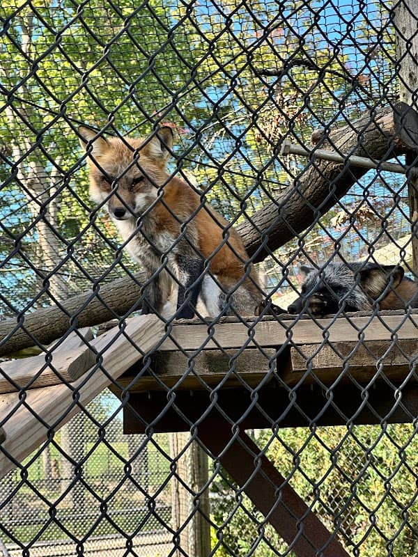 Wildwood Park & Zoo - Image 2