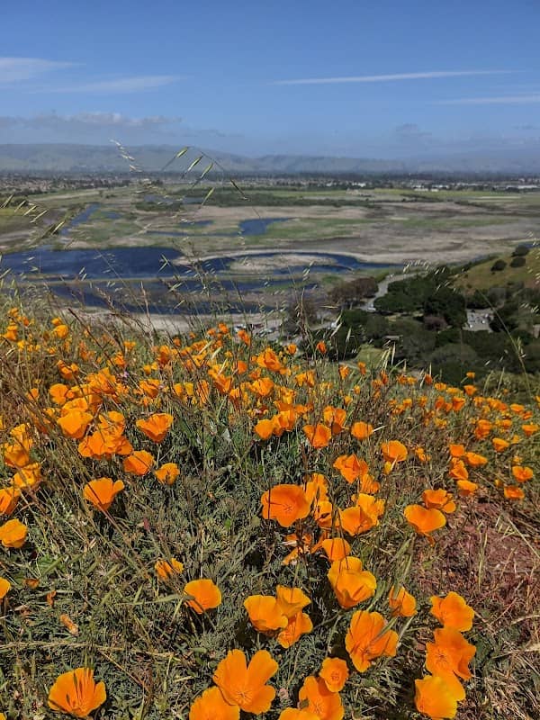 Coyote Hills Regional Park - Image 2