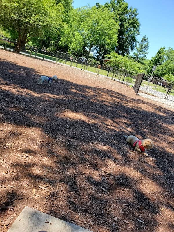 North Garner Dog Park - Image 1