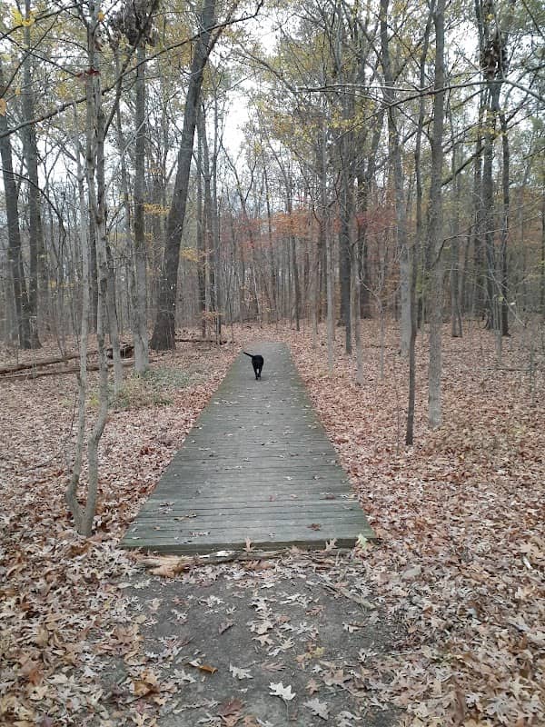 Riverwoods State Natural Area - Image 2