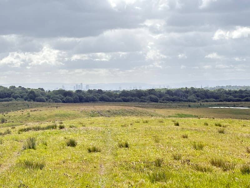 Skylark Hill - Image 1