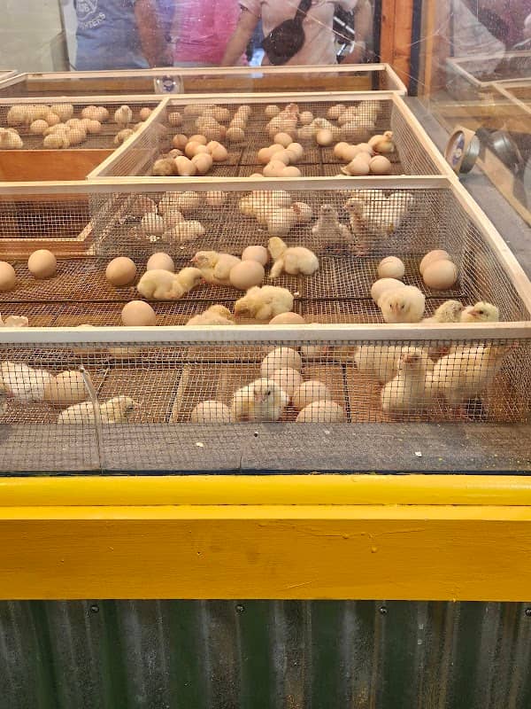 Farm-A-Rama - Image 1