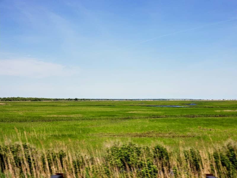 Port Republic Wildlife Management Area - Image 2