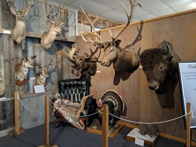 Campbell County Rockpile Museum - Image 2
