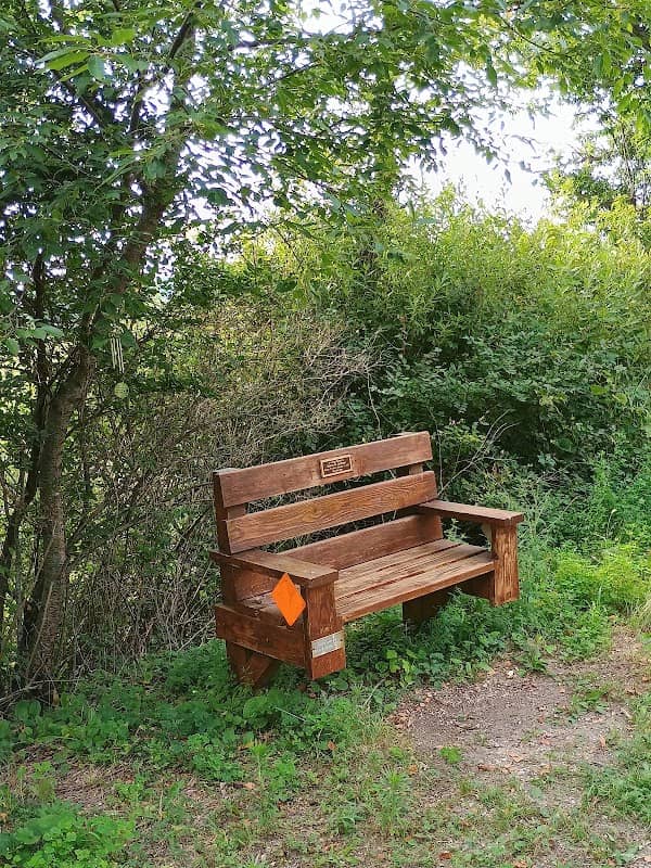 Robert W Lettman Trail Bench - Image 2