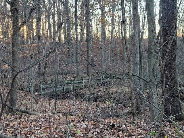 Meadowbrook Nature Preserve - Image 2