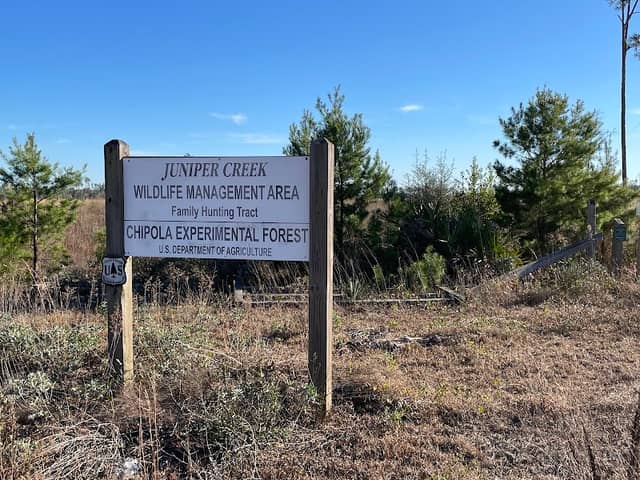 Juniper Creek Wildlife Management Area - Image 2