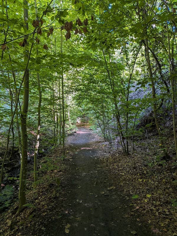 Fiedlergrund, Naturschönheit - Image 1
