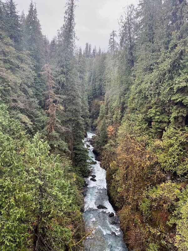 The Gorge -West Fork Humptulips River - Image 3