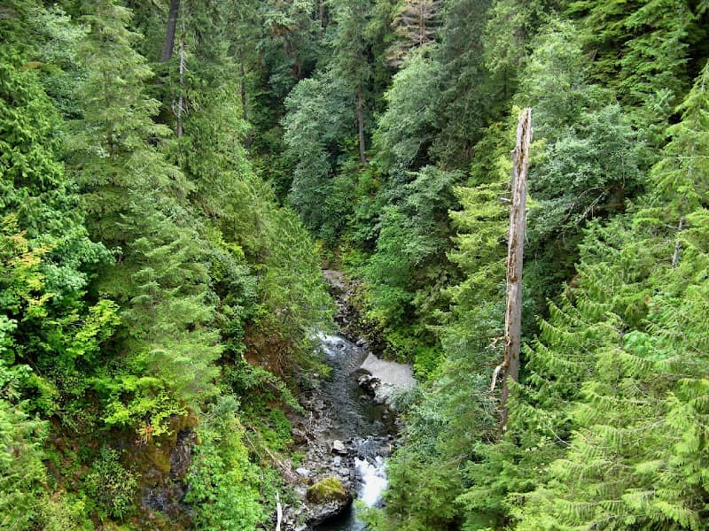 The Gorge -West Fork Humptulips River - Image 1