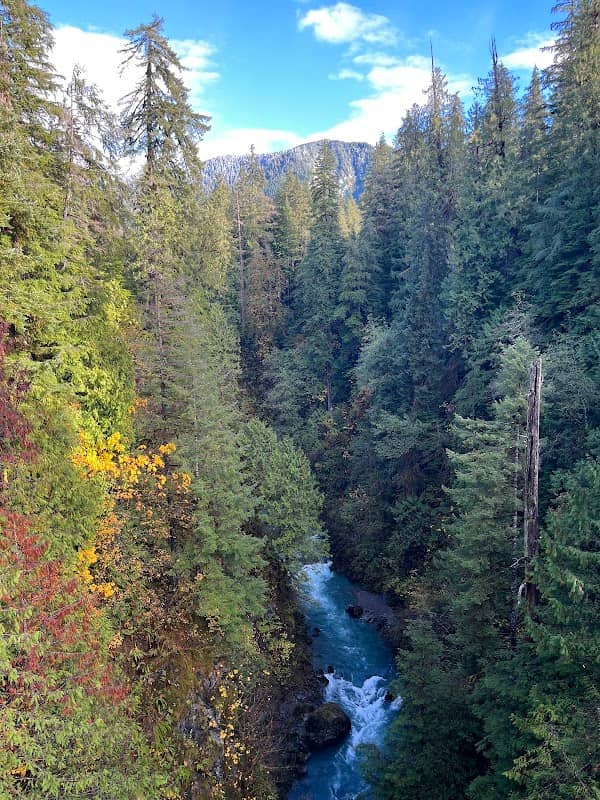 The Gorge -West Fork Humptulips River - Image 2