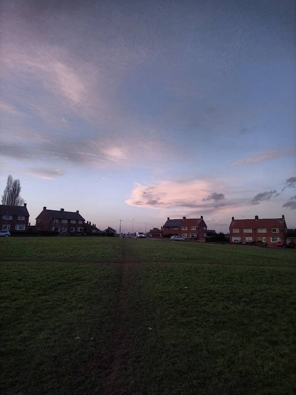 The Centre Field - Image 1