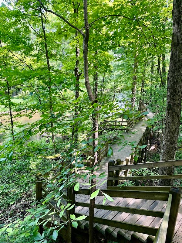 Observation Deck - Image 2