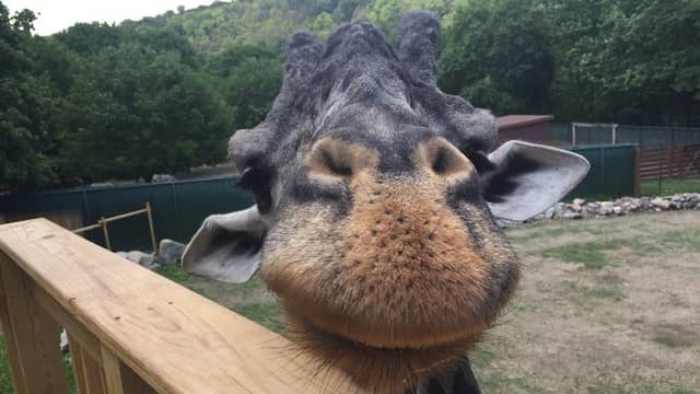 Lehigh Valley Zoo - Image 1