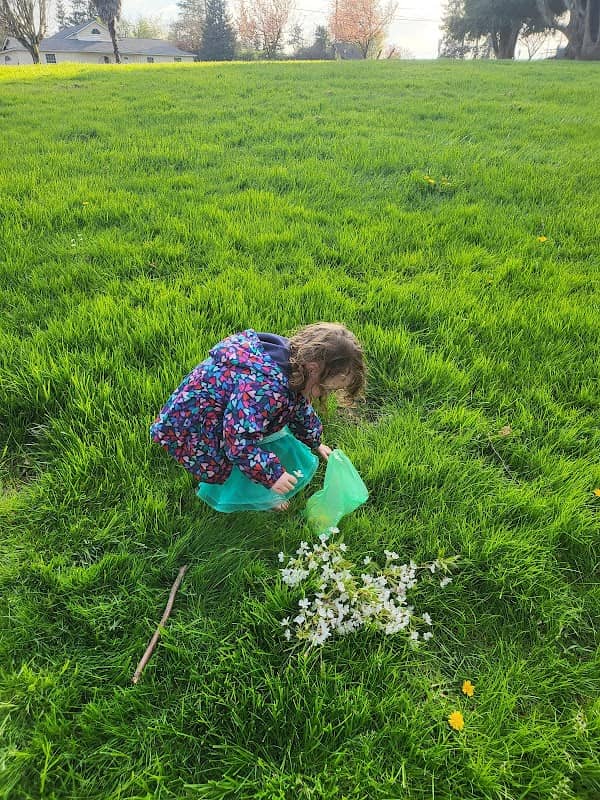 Ben Miller Family Park - Image 1