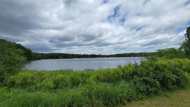 Anna Gene County Park - Image 3