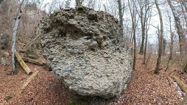 Nagelfluh im Isartal - Image 1