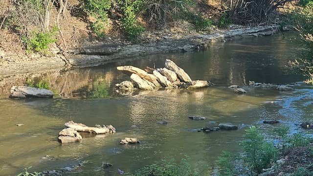 Little Fossil Park - Image 3