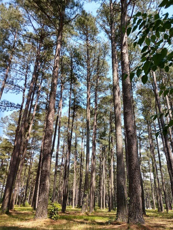 Arboretum at Johnston Community College - Image 2