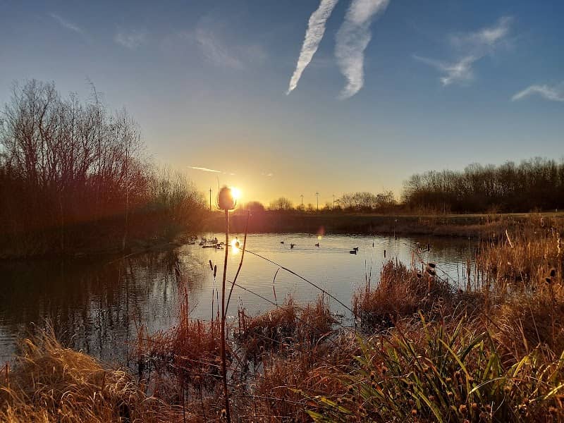 Hebburn Quarry Pond Local Nature Reserve - Image 2