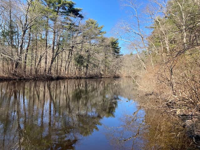 Friends of Boyden Refuge - Image 2