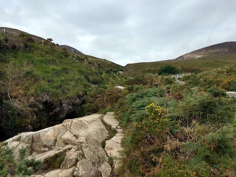 Slieve Nagarragh Mountain - Image 3