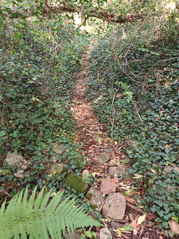 Hexentreppe - Image 1