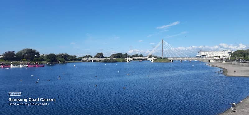 Boat trips - Image 2