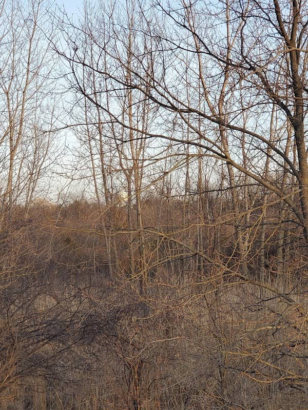 High Hill Park and Nature Preserve - Image 1