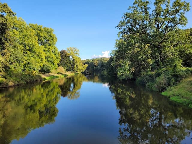 Park Pałacowy - Image 2